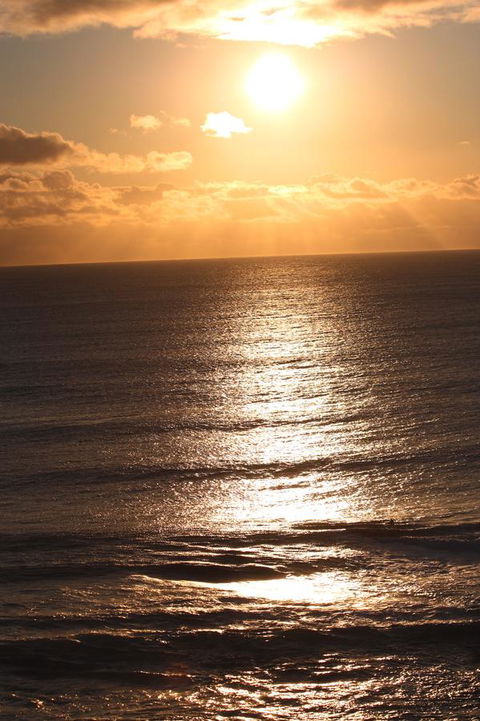 Riverview Tourist Park - Tourism Brisbane 32