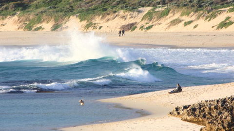 Riverview Tourist Park - Tourism Brisbane 34