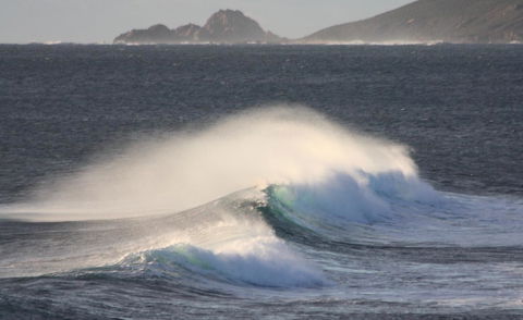 Riverview Tourist Park - Tourism Brisbane 33