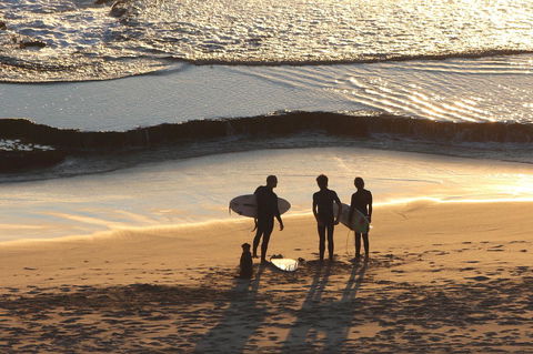 Riverview Tourist Park - Tourism Brisbane 31