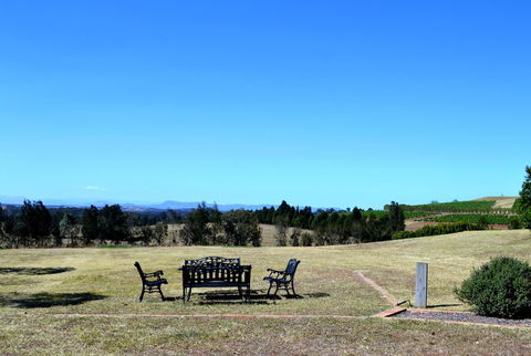 Grapevines Boutique Accommodation - Tourism Brisbane 18