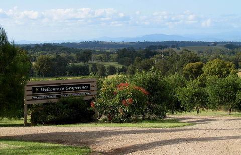 Grapevines Boutique Accommodation - Tourism Brisbane 15
