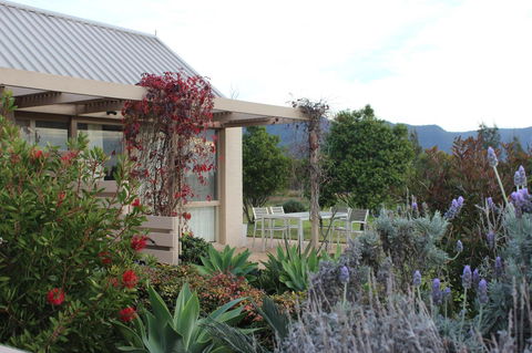 Grapevines Boutique Accommodation - Tourism Brisbane 28