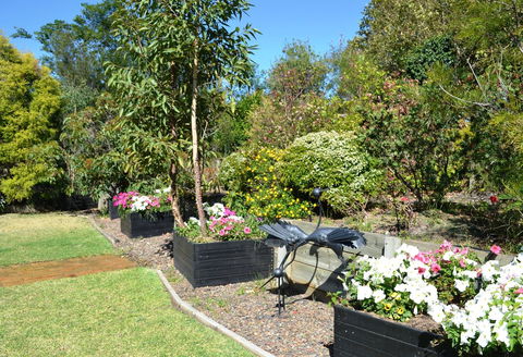 Grapevines Boutique Accommodation - Tourism Brisbane 17