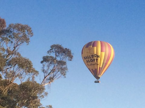 Grapevines Boutique Accommodation - Tourism Brisbane 12
