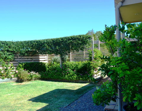 Grapevines Boutique Accommodation - Tourism Brisbane 14