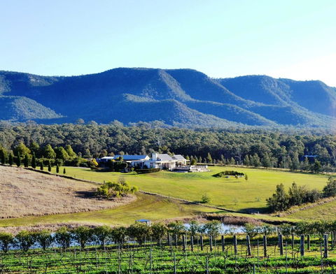 Grapevines Boutique Accommodation - Tourism Brisbane 0