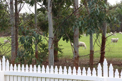 Sapphire Chalets, Augusta - Tourism Brisbane 9