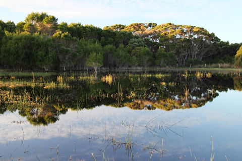Sapphire Chalets, Augusta - Tourism Brisbane 14