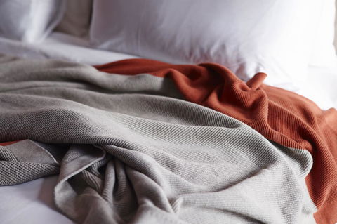 Alex Hotel - Tourism Brisbane 25