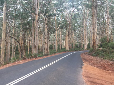 Bella Bali Gardens - Tourism Brisbane 29