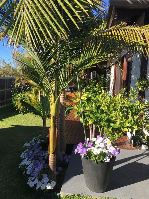 Bella Bali Gardens - Tourism Brisbane 23