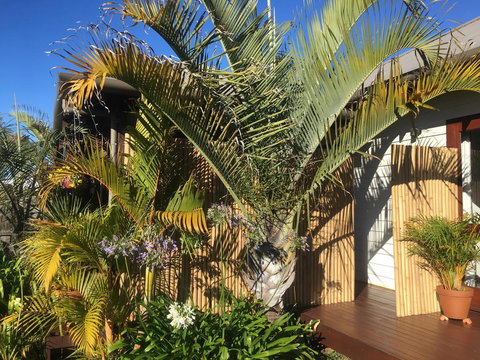 Bella Bali Gardens - Tourism Brisbane 7