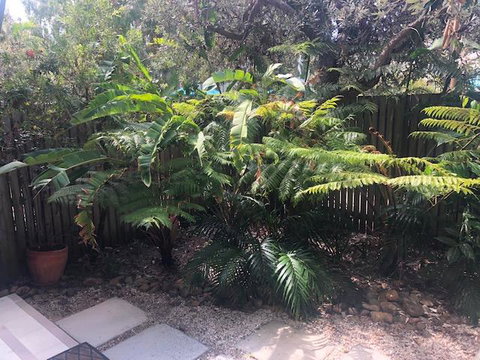 East On Byron - Tourism Brisbane 40