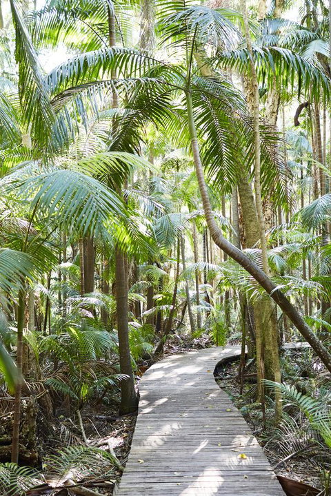 Crystalbrook Byron - Brisbane Tourism 26