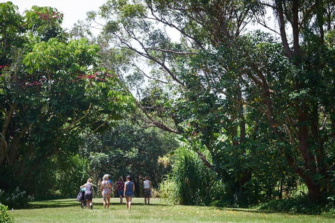 Ingenia Holidays Byron Bay - Tourism Brisbane 11