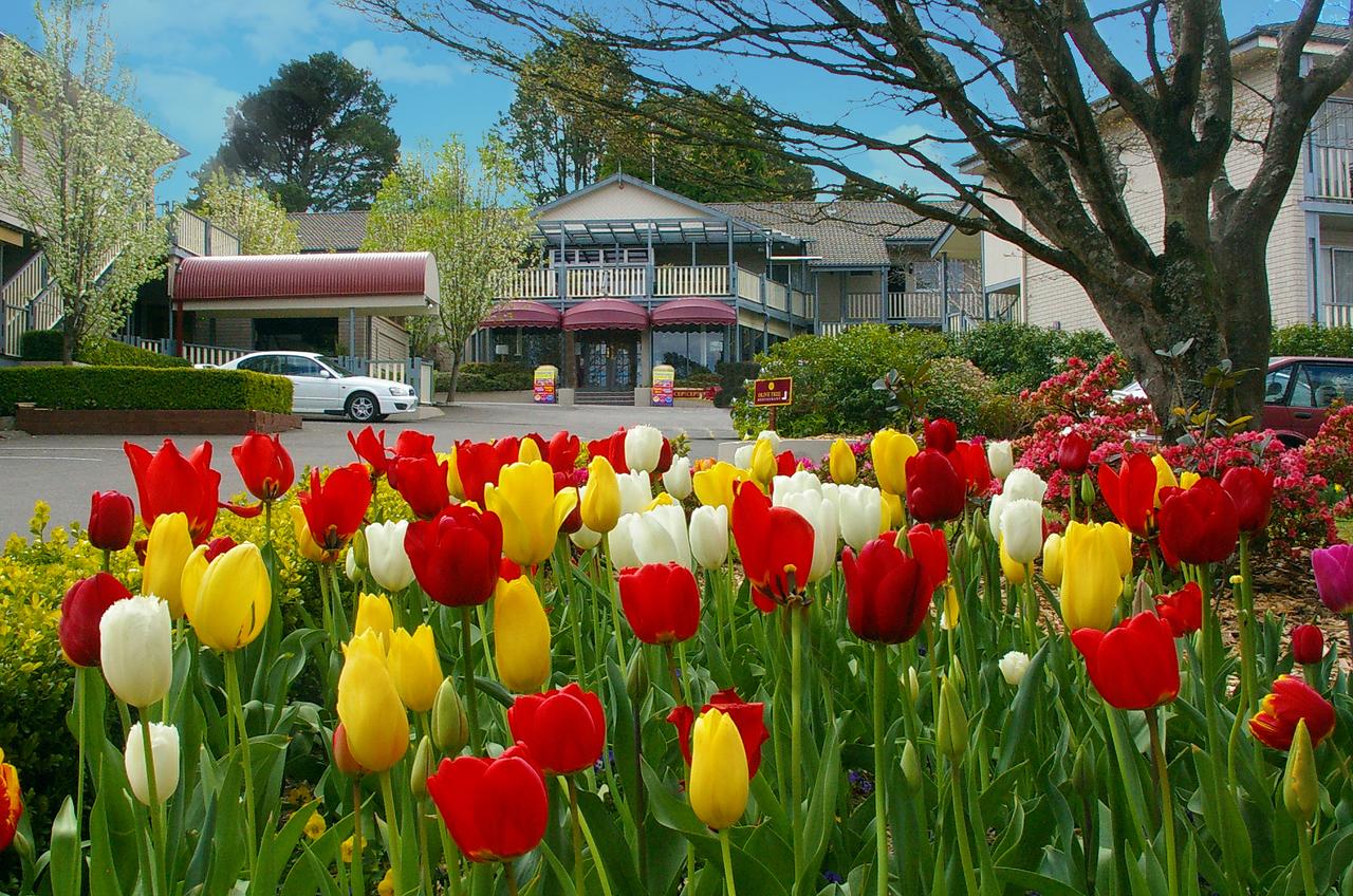Leura NSW Tourism Brisbane