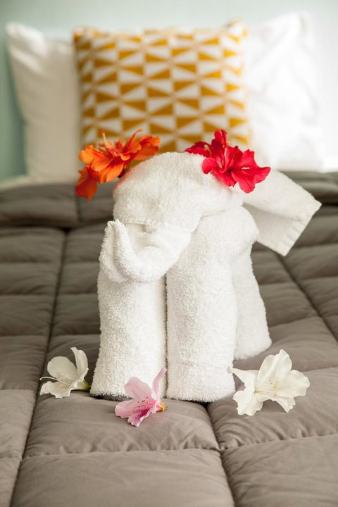 Kempsey Rose Motor Inn - Brisbane Tourism 17