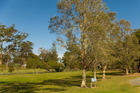 Kempsey Rose Motor Inn - Brisbane Tourism 32