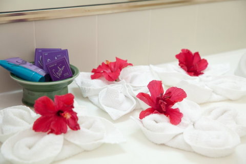 Kempsey Rose Motor Inn - Brisbane Tourism 14
