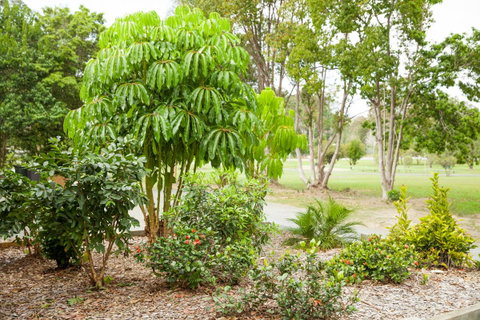 Kempsey Rose Motor Inn - Brisbane Tourism 42
