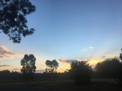 Junee Motor Inn - Tourism Brisbane 26