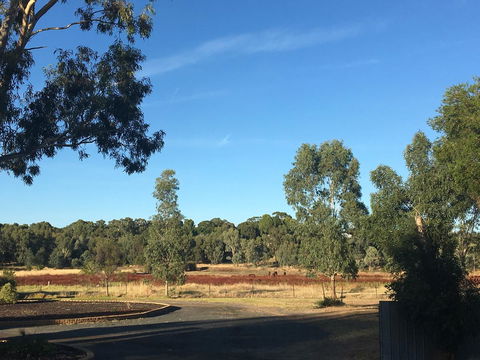 Junee Motor Inn - Tourism Brisbane 24