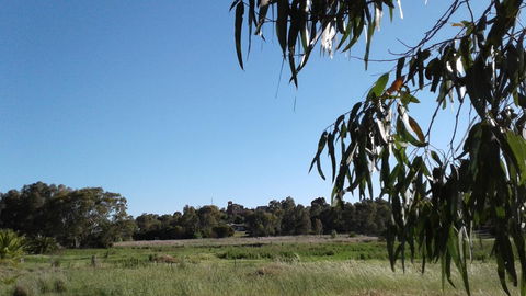 Junee Motor Inn - Tourism Brisbane 8