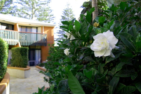 The Crest Byron Bay - Brisbane Tourism 29
