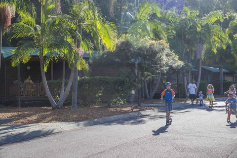 The Palms At Avoca - Tourism Brisbane 14