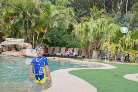 The Palms At Avoca - Tourism Brisbane 23
