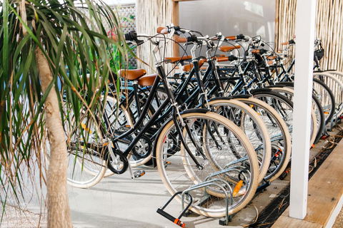 The Lord Byron - Tourism Brisbane 29