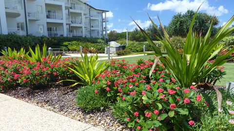 SaltBeach2302 - Tourism Brisbane 1