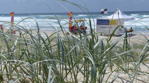 SaltBeach2302 - Tourism Brisbane 14