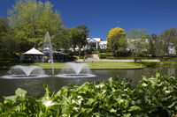 Book Windsor Accommodation Vacations Tourism Brisbane Tourism Brisbane