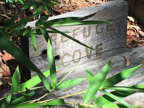 Refuge Cove On Pittwater - Tourism Brisbane 12