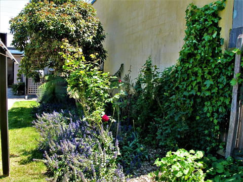 Apple Tree Cottage - Tourism Brisbane 24