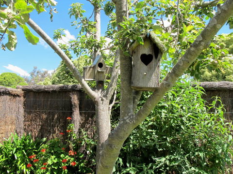 Apple Tree Cottage - Tourism Brisbane 28