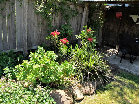 Apple Tree Cottage - Tourism Brisbane 26