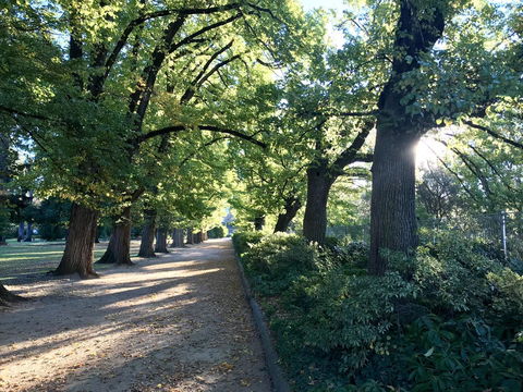 The Botanical 201 - Tourism Brisbane 17