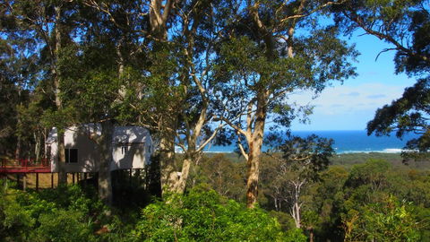 Bundle Hill Cottages - Tourism Brisbane 7