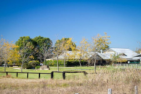 Potters Apartments - Brisbane Tourism 26