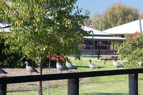Potters Apartments - Brisbane Tourism 25