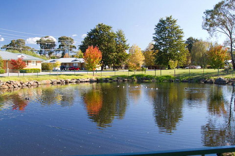 Potters Apartments - Brisbane Tourism 39