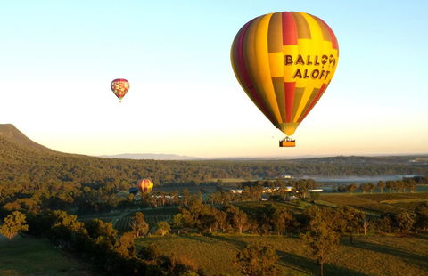 Coal D\' Vine VIEW - Cessnock NSW - Tourism Brisbane 14