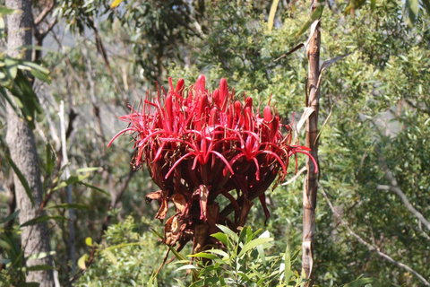 Ambience - Tourism Brisbane 30