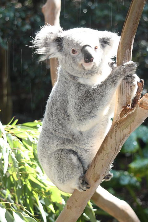 Ambience - Tourism Brisbane 27