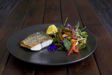 Sage Hotel Wollongong - Brisbane Tourism 22