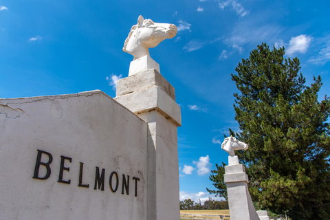 Belmont - Brisbane Tourism 4