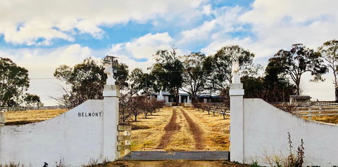 Belmont - Brisbane Tourism 26